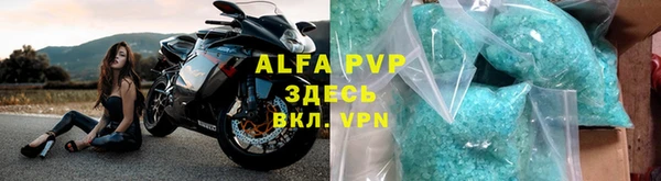 амф Верея
