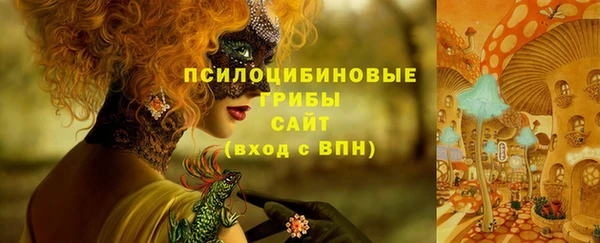 амф Верея