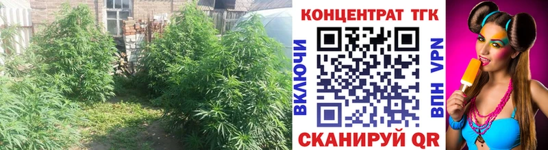 Дистиллят ТГК THC oil  Карабулак 