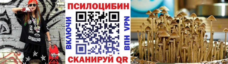 где найти   Карабулак  Псилоцибиновые грибы прущие грибы 